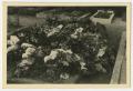 Photograph: [Photograph of a Memorial Site with Flowers]