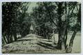 Thumbnail image of item number 1 in: '[Postcard with a View Looking Down a Road Between Trees]'.