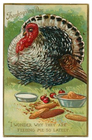 Primary view of object titled '[Thanksgiving Postcard to Mamie Collins from Katharine E. Wheatly, November 24, 1908]'.