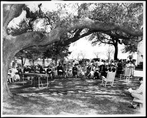 [Photograph of a large group of women seated in a row of chairs beneath a tree]