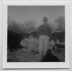[Photograph of Oscar D. Back with his Cattle]
