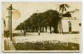 Primary view of [Photograph of a Hospital in Veracruz, Mexico]