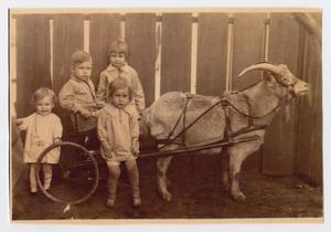 [Photocopy of a Photograph of Cleve Back's Children]