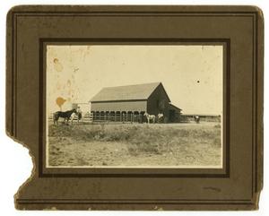 Primary view of object titled '[Photograph of a Stable, Fairview, Texas]'.