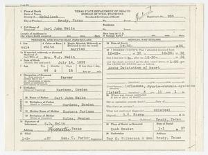 Primary view of object titled '[C. J. Nelin's Death Certificate]'.