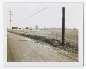 [Road by Grassy Field #1]