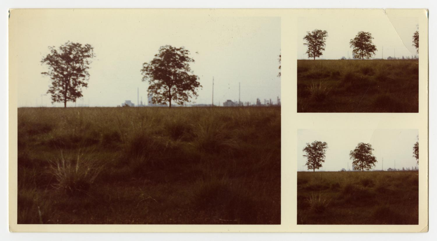[Grass and Two Trees]
                                                
                                                    [Sequence #]: 1 of 2
                                                