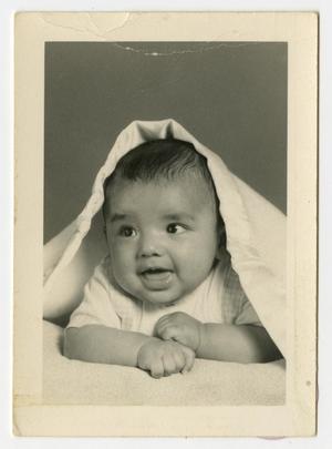 Primary view of object titled '[Portrait of Infant Under a Blanket]'.