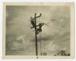 Photograph: [Two Men Working on Power Lines #1]