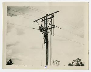 [Two Men Working on Power Lines #2]