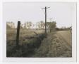 Photograph: [Road by Grassy Field #2]