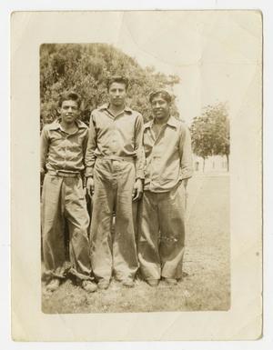 Primary view of object titled '[Photograph of Three Older Boys]'.