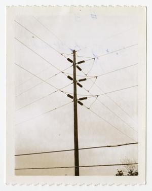 [Power Lines Connected to Utility Pole #5]