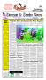 Thumbnail image of item number 1 in: 'Timpson & Tenaha News (Timpson, Tex.), Vol. 26, No. 25, Ed. 1 Thursday, June 19, 2008'.