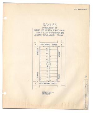Sayles Subdivision of Block 13, Benjamin Austin Survey Number 91 (Lying East of Meander Street), Abilene, Taylor County, Texas