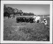 Photograph: [Photograph of six dark colored cows and one white Brahman in a pastu…
