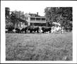 Primary view of [Photograph of four cattle of different breeds belonging to Albert Peyton George]