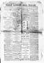 Primary view of The Daily Ledger and Texan (San Antonio, Tex.), Vol. 2, No. 521, Ed. 1, Friday, August 30, 1861