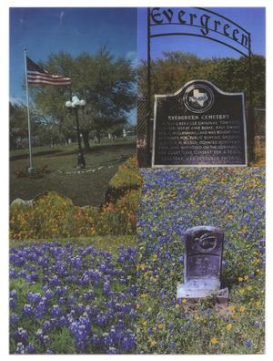 Primary view of object titled 'The Evergreen Cemetery'.