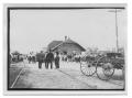 Thumbnail image of item number 1 in: 'Railroad Depot in Bee Country'.