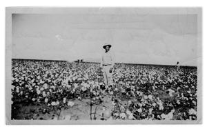 Santos Jaramillo in a Cotton Field 1940s