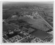 Photograph: [Aerial View of Groves]