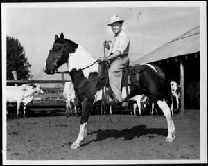 [A man riding a paint horse in a cattle pen on the George Ranch]