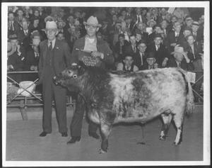 [Albert Peyton George with the reserve grand champion steer]
