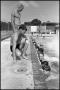 Photograph: [Boys Participating in a Swim Lesson]