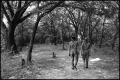 Photograph: [Two Boy Scouts Walking Wood Trail]