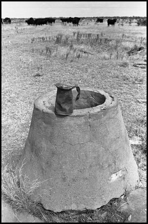 [Old Well Located on Old Homestead in Archer City]