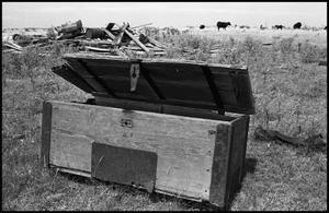 Primary view of object titled '[Old Trunk on Old Homestead in Archer City]'.