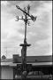 Thumbnail image of item number 1 in: '[Decorated Weather Vane]'.