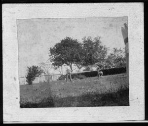 Primary view of [Photograph of Davis George drinking water from a faucet in the front yard]