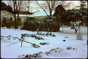 [Garden in Snow]