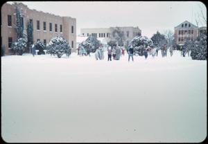 Primary view of object titled '[Texas Lutheran Students Playing in Snow]'.