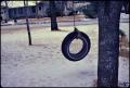 Photograph: [Tire Swing in a Backyard]
