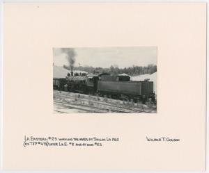 Primary view of object titled '[Train in a Louisiana Yard]'.