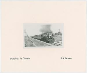Primary view of object titled '[Train Engine #700 and Cars - Willow Glen, Louisiana]'.