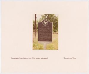 Primary view of object titled '[Texas Historical Commission Marker: Gladewater #2]'.