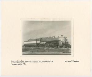 Primary view of object titled '[Texas and Pacific Train in Louisiana]'.
