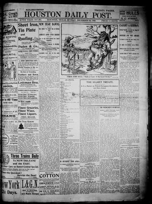 Primary view of object titled 'The Houston Daily Post (Houston, Tex.), Vol. XVTH YEAR, No. 271, Ed. 1, Sunday, December 31, 1899'.