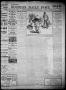 Primary view of The Houston Daily Post (Houston, Tex.), Vol. XVIth YEAR, No. 291, Ed. 1, Sunday, January 20, 1901