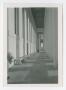 Primary view of [Photograph of Hall of State Portico Corridor]