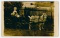 Thumbnail image of item number 1 in: '[Photograph of Little Boy on a Goat Cart]'.