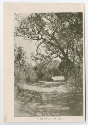 [Postcard of Cibolo Canyon and Nearby Drive, Boerne, Texas]