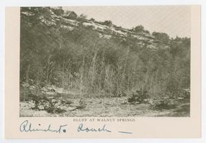 [Postcard of Bluff at Walnut Springs and Philip's Hotel]