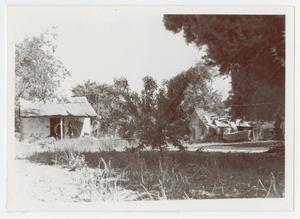 [Photograph of Abandoned Shacks in Old Tusculum]