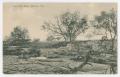 Primary view of [Postcard of Old Mill Dam, Boerne, Texas]