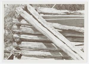 [Photograph of Log Building Remains]